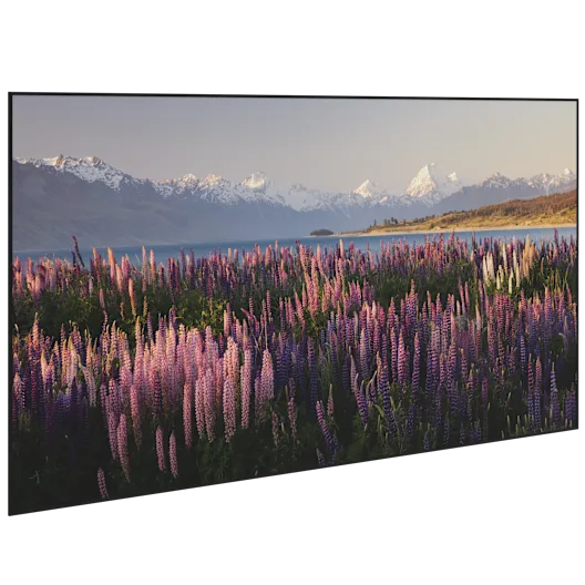 Parallax Thin ALR Screen: CEDIA 2025 Specs & Review